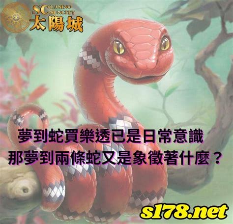 路上 看 到蛇代表什麼|【看見蛇代表什麼】看見蛇代表什麼？民俗專家揭露傳統文化中的。